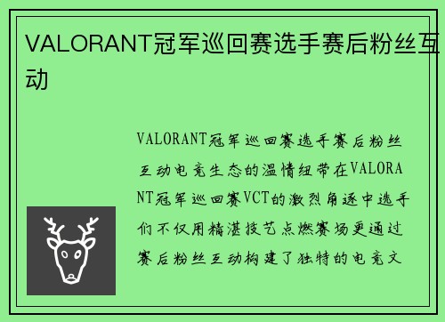 VALORANT冠军巡回赛选手赛后粉丝互动
