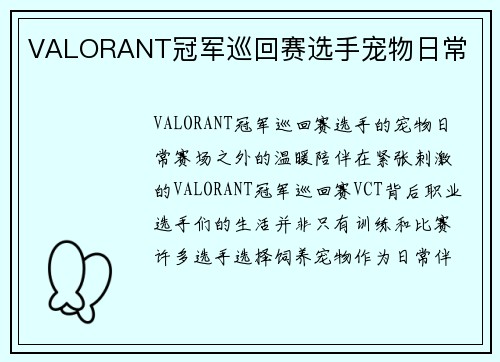VALORANT冠军巡回赛选手宠物日常