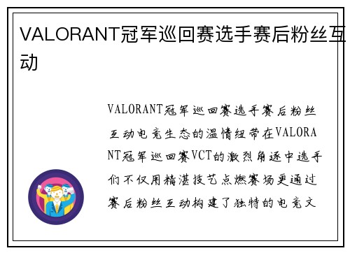 VALORANT冠军巡回赛选手赛后粉丝互动