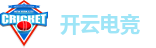 开云电竞(中国)官方网站-KAIYUNESPORTS